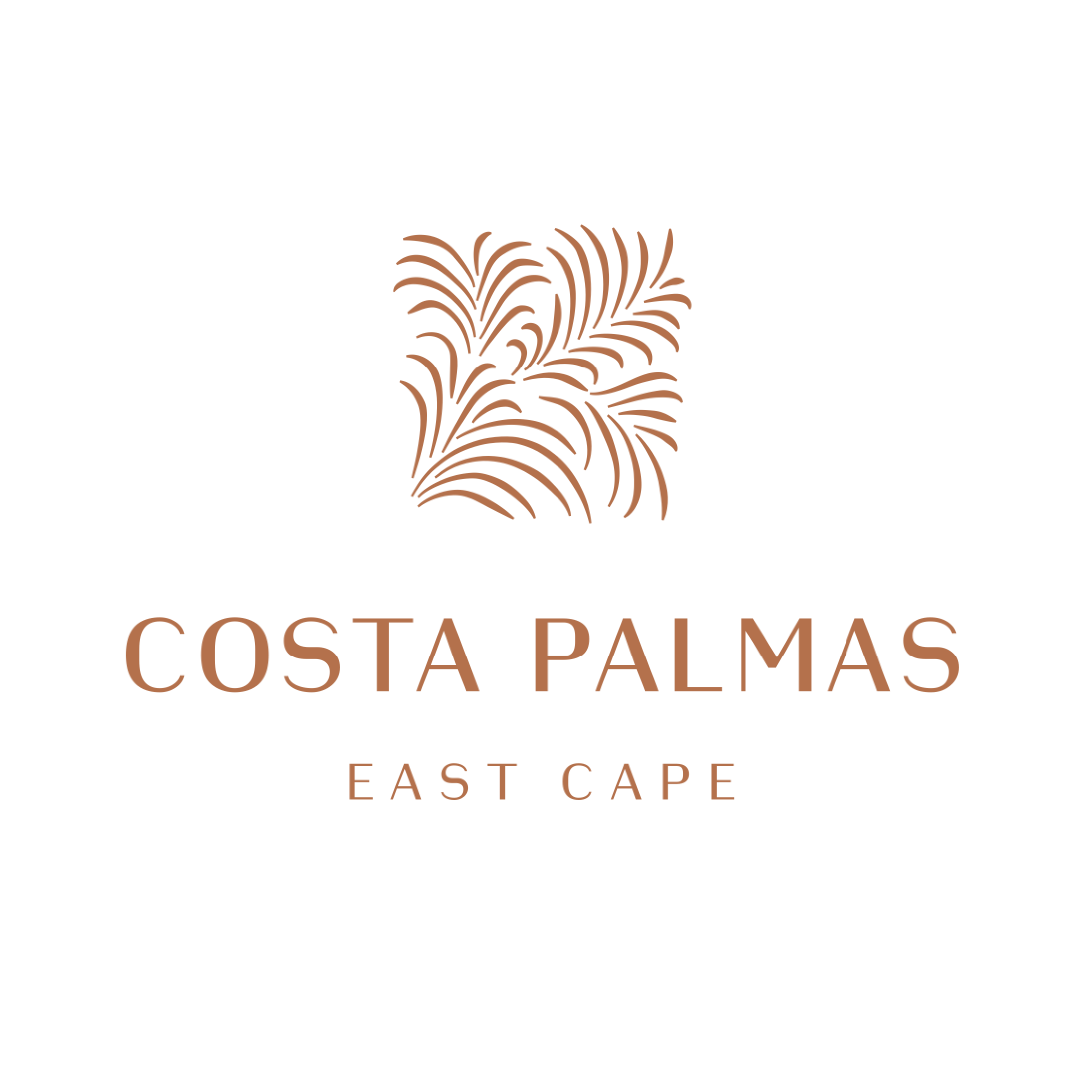 1.-costa-palmas.png